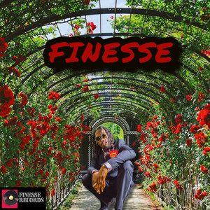 Finesse (Explicit)