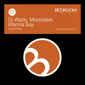 Wanna Say (Original Mix)