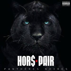 Pas De Hasard (Explicit)