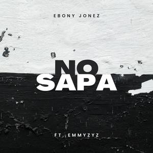 No Sapa (feat. Emmyzyz) (Remix 001)