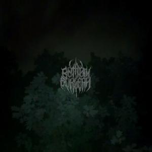 affective instability due to a marked reactivity of mood (Explicit)