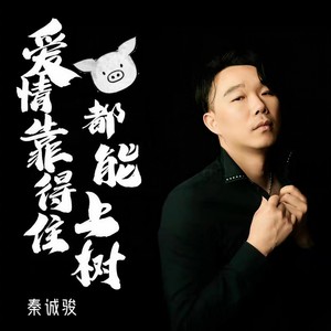 爱情靠得住猪都能上树