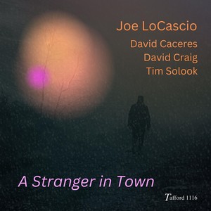 Stranger in Town (feat. Tim Solook & David Craig)