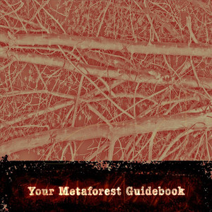 Your Metaforest Guidebook (Explicit)