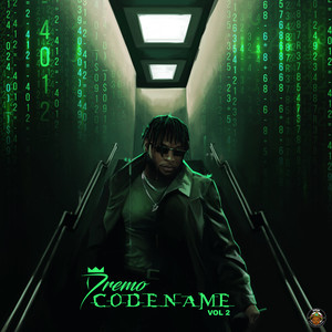 Codename, Vol. 2 (Explicit)