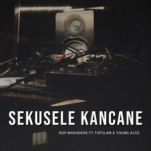 Sekusele kancane (feat. Topslam & Young Acee)