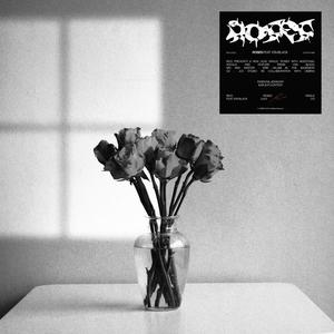 ROSES (feat. VSN Black) (Explicit)