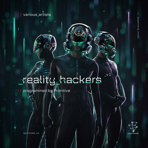 Reality Hackers