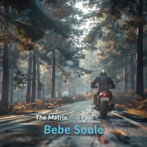 The Matrix (Explicit)