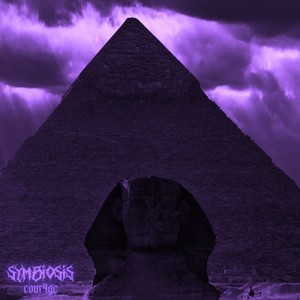 Symbiosis (Explicit)