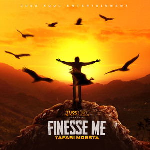 Finesse Me (Explicit)