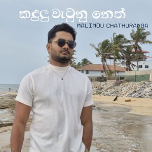 Kandulu Watunu Neth (COVER版)