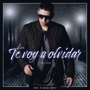 Te Voy A Olvidar