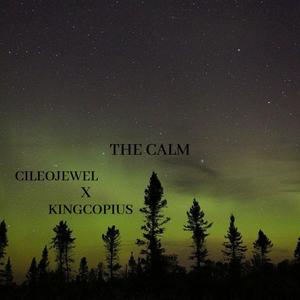 The Calm (feat. KingCopious) [Explicit]