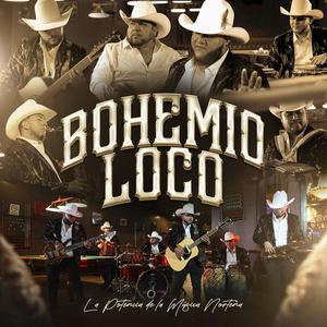 Bohemio Loco