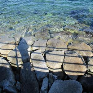 covid-19 スパイ殺し屋コロナウイルス犯人 公務