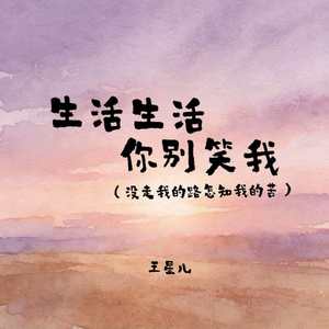 生活生活你别笑我(没走我的路怎知我的苦)