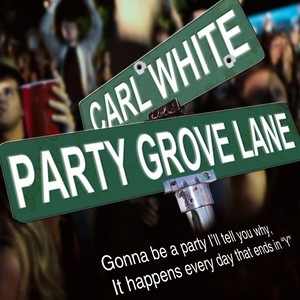 Party Grove Lane