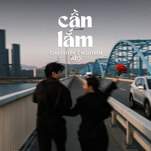 Cần Lắm (Lofi)