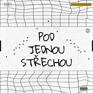 Pod Jednou Střechou(feat. Chrizz, Paul Prince & Dooshi) (Explicit)