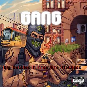 Gang (feat. Big Bottles) (Explicit)