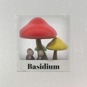 Basidium