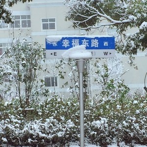 每个冬天来临前我都感到绝望