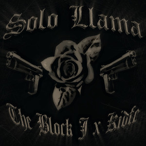 SOLO LLAMA (Explicit)