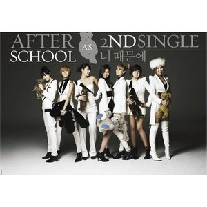 AFTER SCHOOL 너때문에 2ND SINGLE (Because of You)