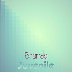 Brando Juvenile