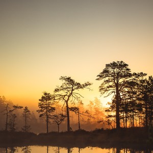 Tak Ingin Usaiii (Acoustic)