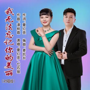 我无法忘记你的美丽 (对唱版伴奏)