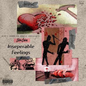 Inseperable Feelings (Explicit)