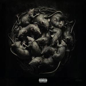 ROTTA (Explicit)