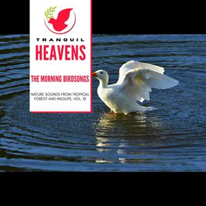 The Morning Birdsongs - Nature Sounds from Tropical Forest and Wildlife, Vol. 10