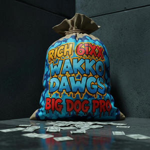 Bag (feat. Wakko Dawgs & Big Dog Pro) (Explicit)