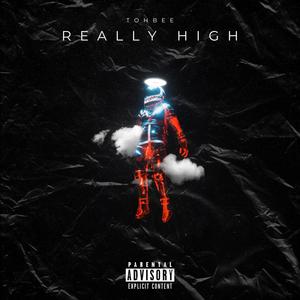 Really high (feat. Tohbee) (Explicit)