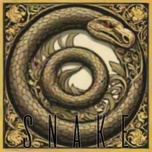 SNAKE (feat. VØİDCHYLD & SawgyDawgy) [Explicit]