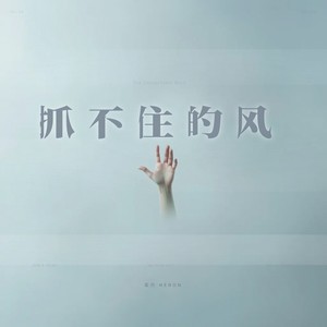 抓不住的风封面