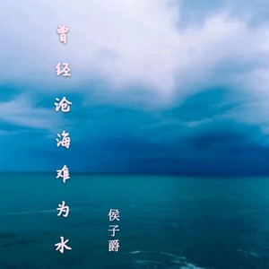 曾经沧海难为水
