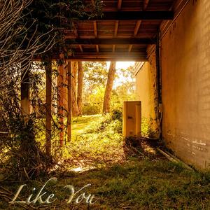 Like You(feat. Emily Searle, Ryan Clarke & Jesse Malek)