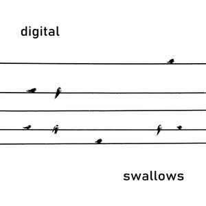 Digital Swallows