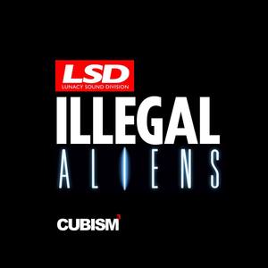 Illegal Aliens