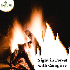 Night in Forest with Campfire