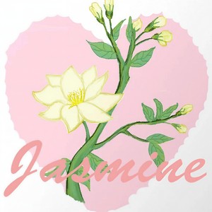 Jasmine