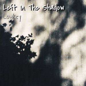 Left in the Shadow