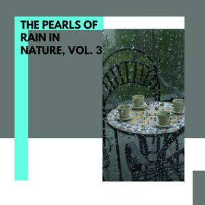The Pearls of Rain in Nature, Vol. 3
