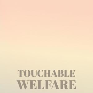 Touchable Welfare