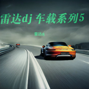 雷达dj - 凉城 (DJ温柔女版)