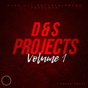 D & S Projects, Vol. 1